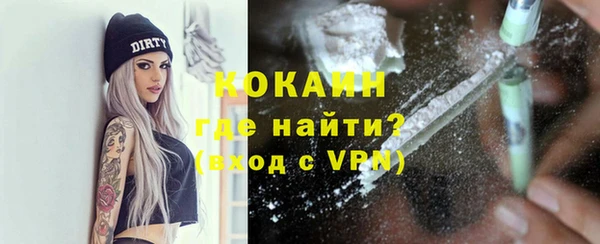 a pvp Бородино