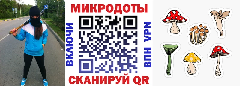 мега   Нытва  Псилоцибиновые грибы прущие грибы 