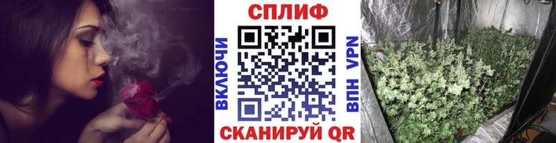 Бошки Шишки White Widow Нытва