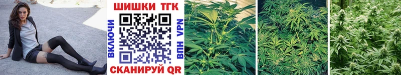купить   Нытва  Каннабис SATIVA & INDICA 